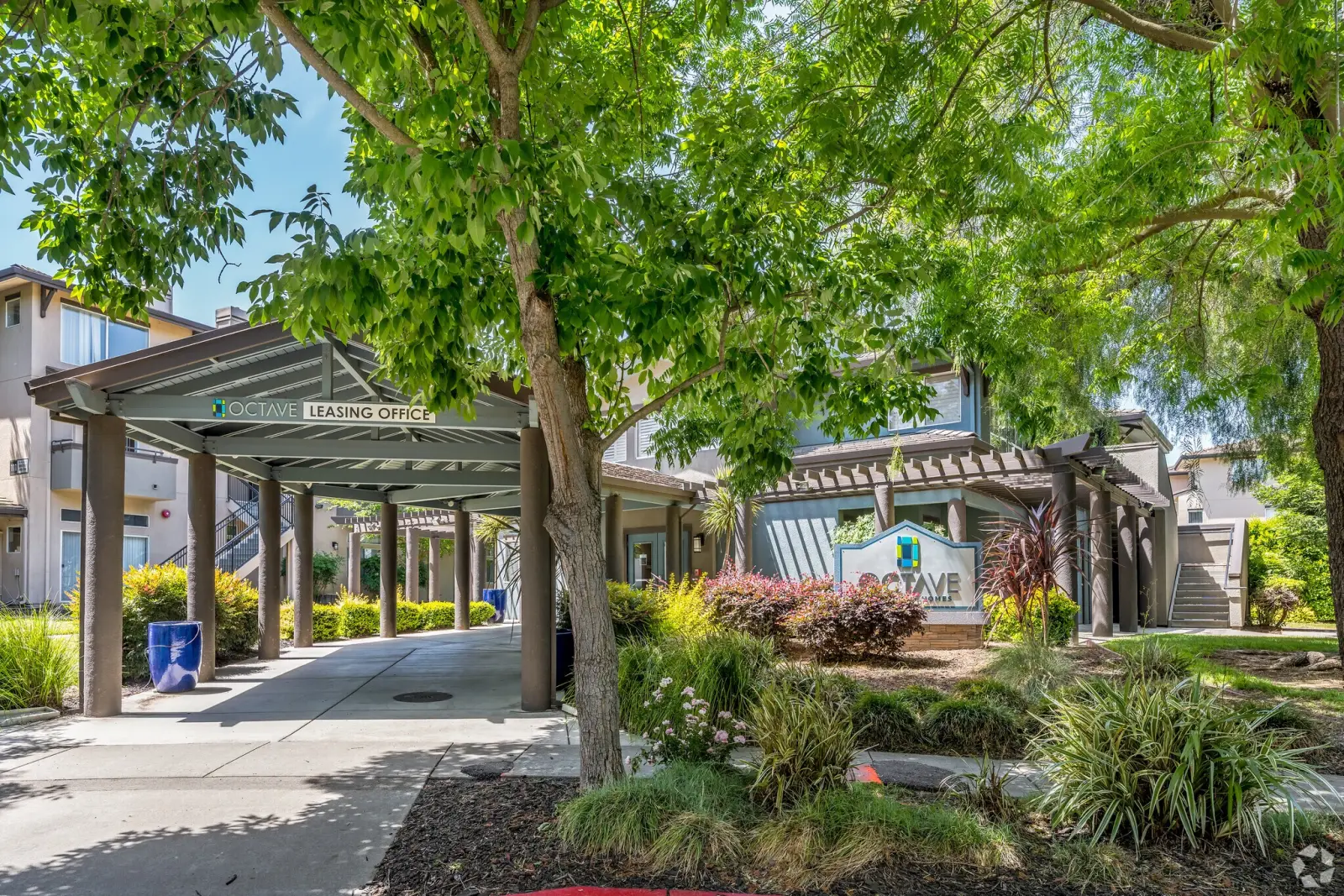 Octave Leasing Office Davis Octave leasing office entrance shaded by trees at a student apartment community in Davis, CA
